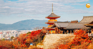 Japan sieht rot: Die schönsten Orte für Herbstlaub 2026