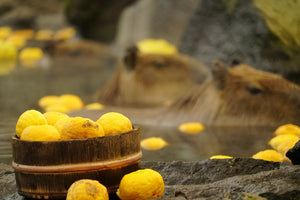 Yuzu, Mikan, Kabosu, Hassaku & Co: Japan’s Zitrusfrüchte – vielfältig und aromatisch