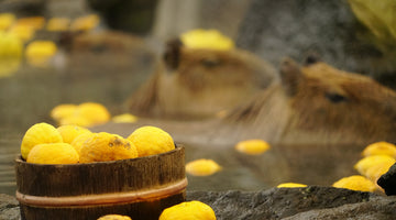 Yuzu, Mikan, Kabosu, Hassaku & Co: Japan’s Zitrusfrüchte – vielfältig und aromatisch