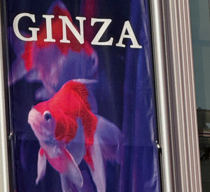 Ginza – Tokyos glänzender Mikrokosmos aus Luxus, Kultur und Geschichte