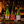 Sake Starter Set